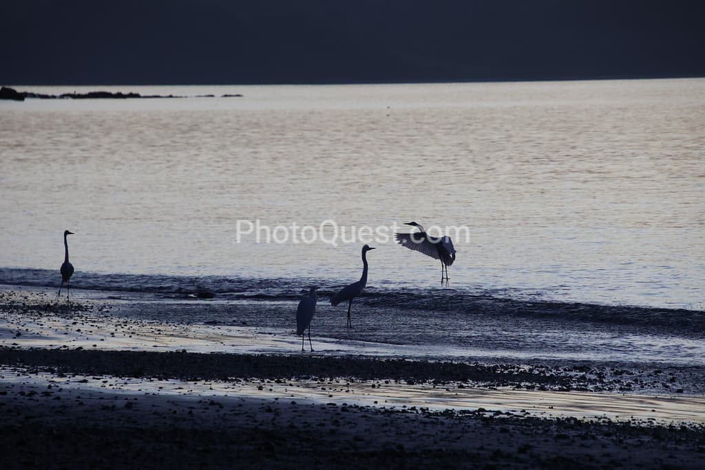 Papagayo Peninsula beach photo