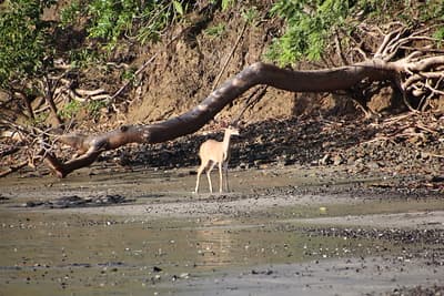 Papagayo Peninsula