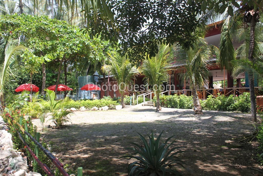 Tamarindo