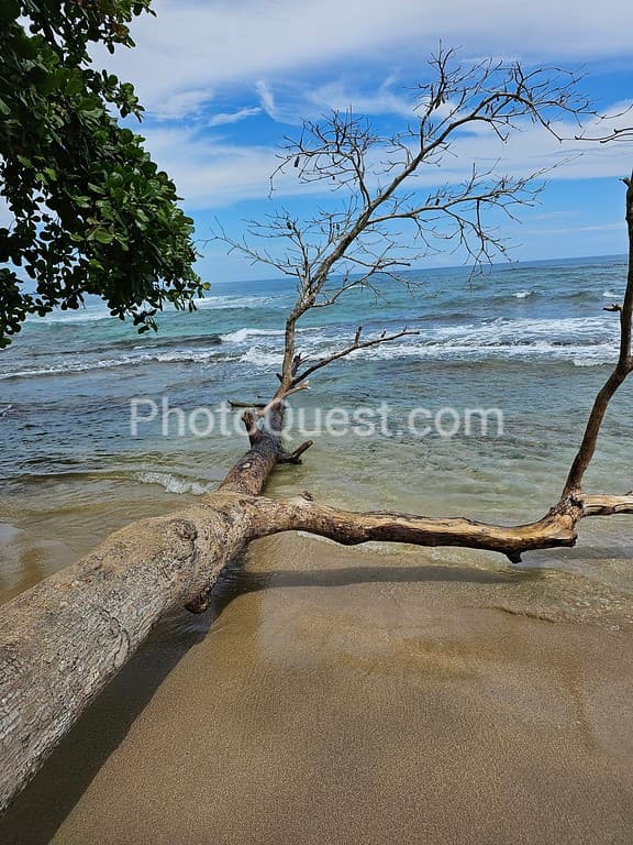 Cahuita beach photo