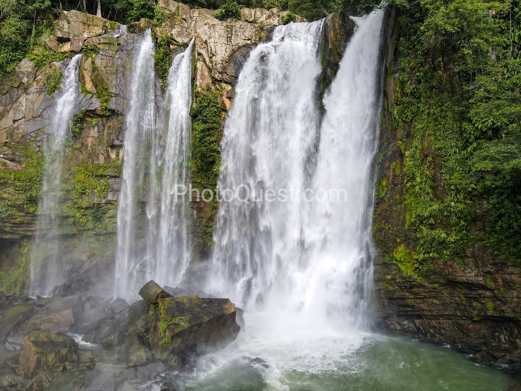 Great photos and videos please visit https://www.wildphotography.com #WildPhotography