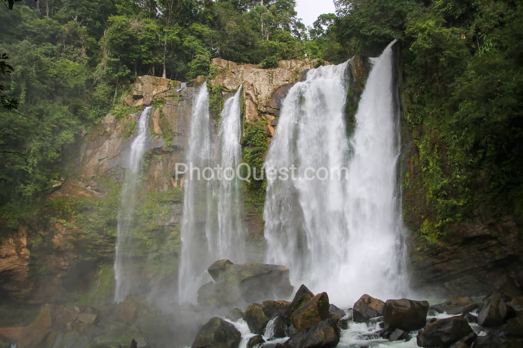 Great photos and videos please visit https://www.wildphotography.com #WildPhotography