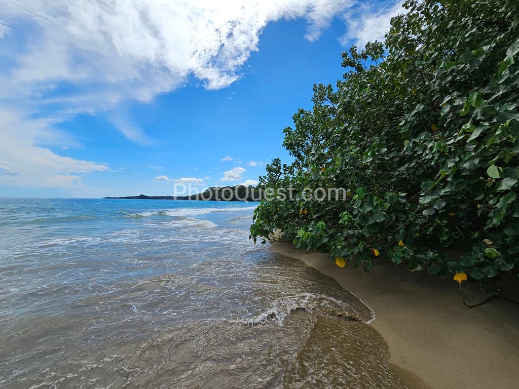 Punta Uva beach photo
