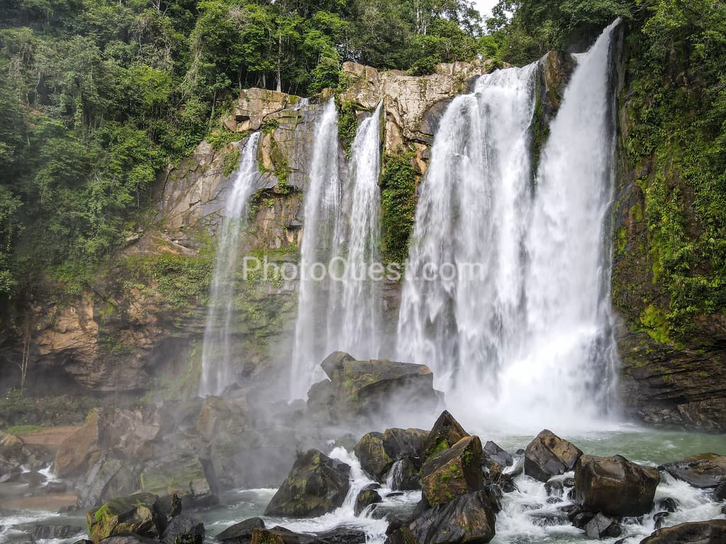 Great photos and videos please visit https://www.wildphotography.com #WildPhotography