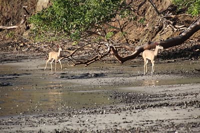 Papagayo Peninsula