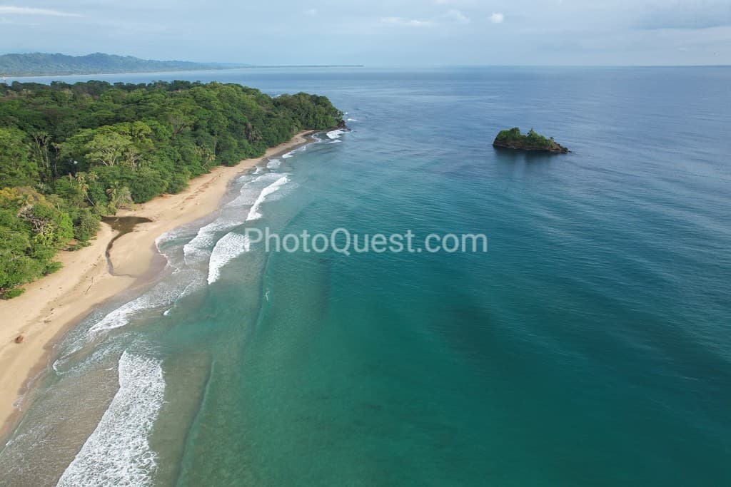 Punta Uva