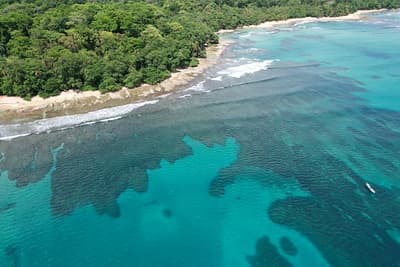 Caribbean Coast of Limon in Costa Rica -aerial views of Cocles, Punta Uva, Playa Chiquita and Puerto Viejo