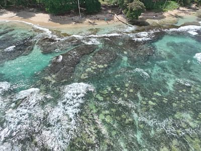 Playa Cocles and Limon coastline: Clear water, sandy beach.