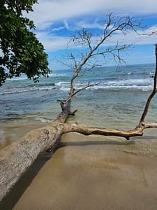 Cahuita