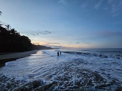 Punta Uva
