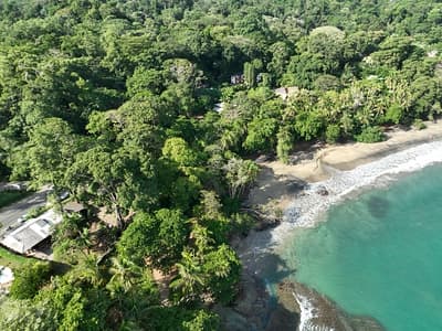 Playa Cocles and Limon Lush Tropical Beach Scene