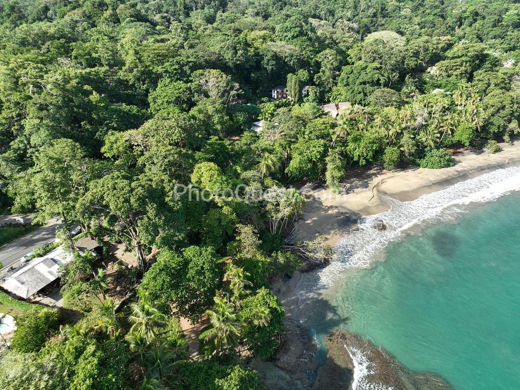 Playa Cocles and Limon Lush Tropical Beach Scene