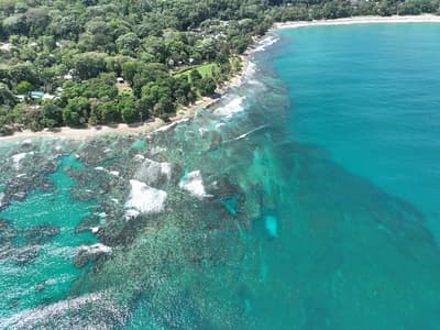 Playa Cocles and Limon Reef Meets the Rainforest