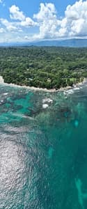 Lush tropical Caribbean Coast of Limon in Costa Rica -aerial views of Cocles, Punta Uva, Playa Chiquita and Manzanillo
