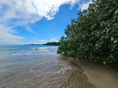 Punta Uva